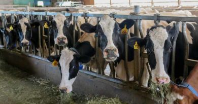 Interest subvention on Working Capital Loans for Dairy sector