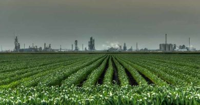 Ministry of Chemical & Fertilizer to revive 5 fertiliser plants