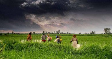 Monsoon likely to hit Kerala on 5th June: IMD