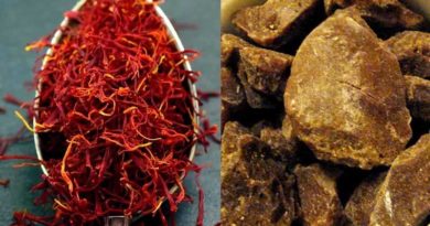 Efforts to enhance cultivation of Heeng and Saffron in India
