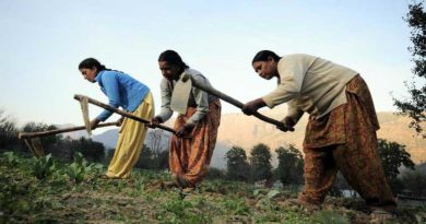 Small Farmers’ Agribusiness Consortium to form 10 thousand FPOs
