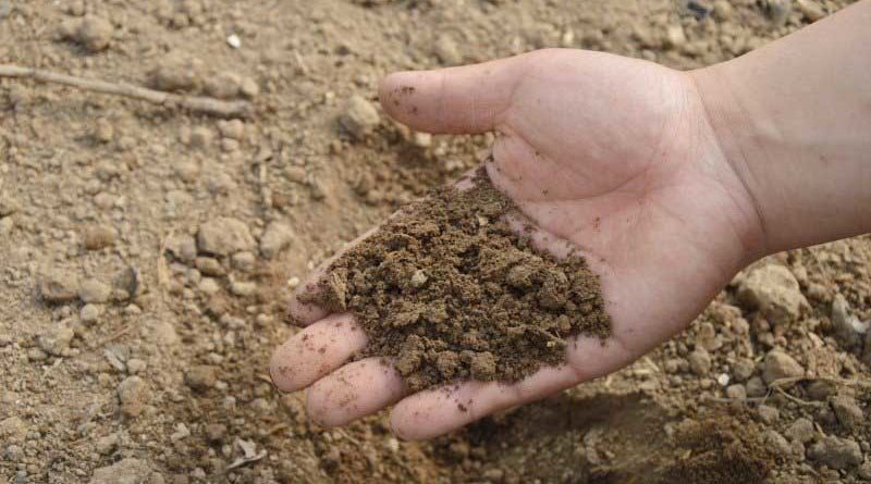 Soil Fertilizer