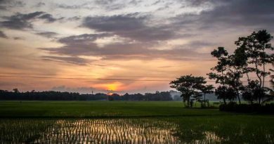 Basmati rice companies set to rise 100-150 basis points