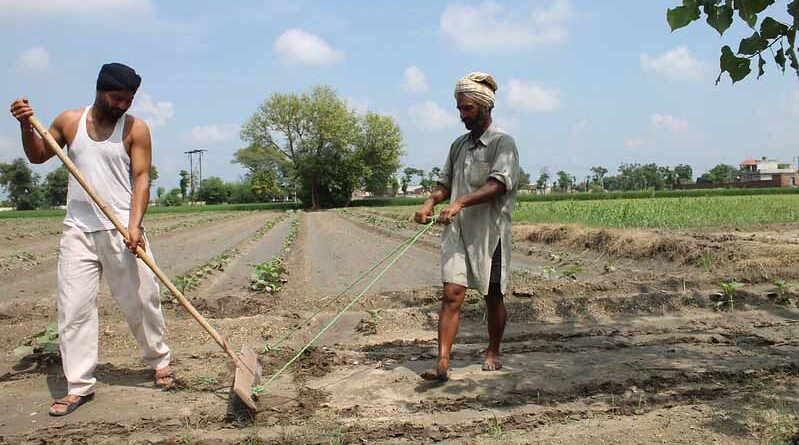Punjab Govt extends deadline to bring farmers under health insurance