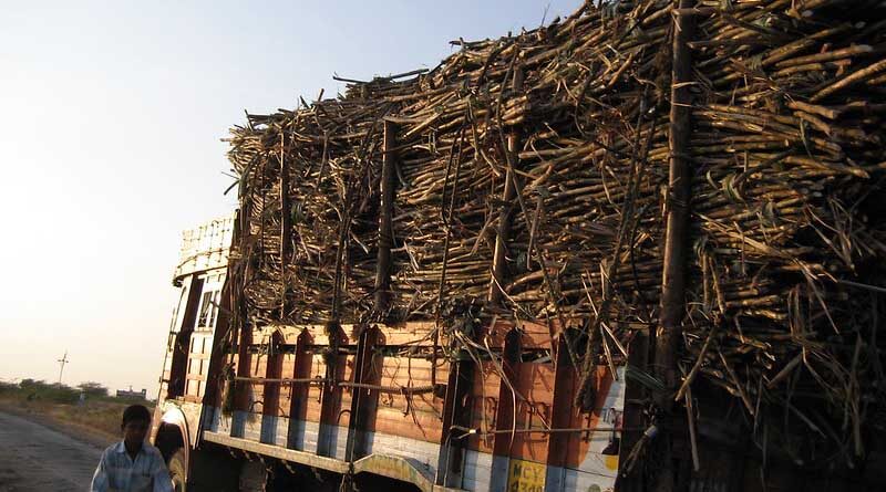 Cooperation Minister rejects Union Government's meagre hike in sugarcane prices