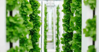 Bayer and Temasek unveil innovative new company focused on developing breakthroughs in vertical farming