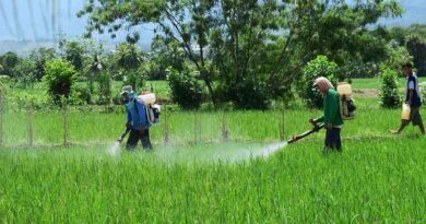 Punjab Agriculture Department inspects 3483 pesticide shops takes 1584 pesticide samples