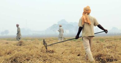 Punjab Govt to provide 23,500 paddy residue management machines to farmers