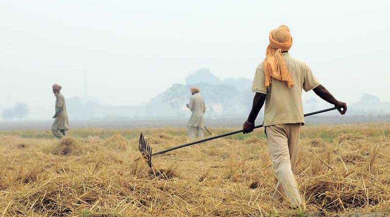Punjab Govt to provide 23,500 paddy residue management machines