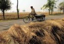 Haryana Government initiates field campaign to reduce stubble burning