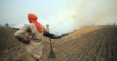 Haryana govt announces subsidy on crop residue management equipment