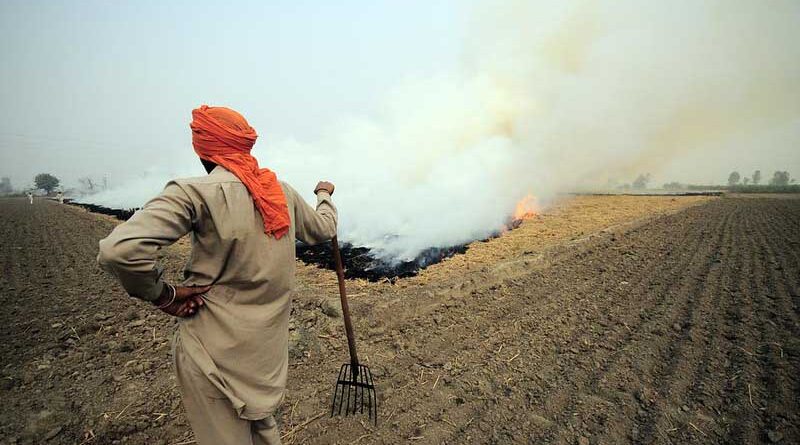 Haryana govt announces subsidy on crop residue management equipment
