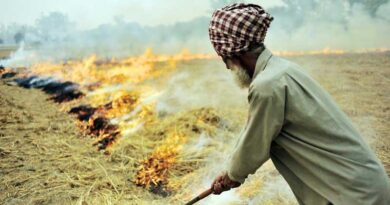Haryana govt approves crop residue management plan of Rs 1304.95 Cr