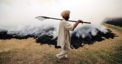 Punjab CM orders social pre audit of Crop Residue management scheme 2020