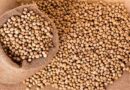 CABI Working in partnership to help 30,000 farmers in Kenya reap improved soybean harvests