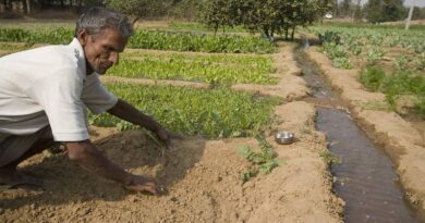 Three bills aimed at transformation of agriculture and raising farmers’ income introduced in Lok Sabha