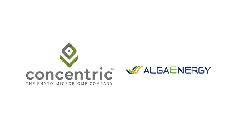 AlgaEnergy and Concentric Ag enter into distribution and product development agreements