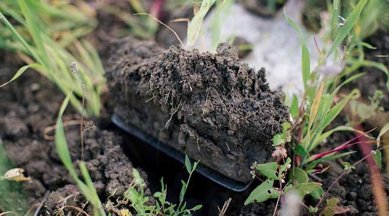 Unlocking gypsum’s soil health benefits: Agrovista