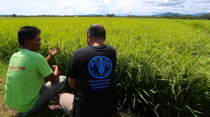 The Philippines | Anticipating crises to support farming communities