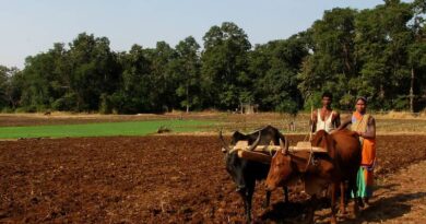 Birmingham led research promises water boost for farmers in India