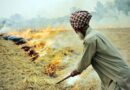 Aruna Chaudhary exhorts panchayats to intensify campaign for paddy residue burning