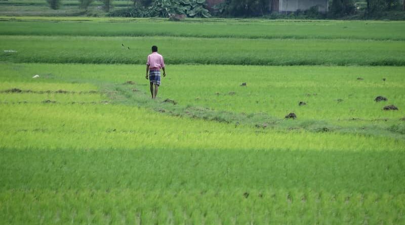 Farm sentiments remain positive led by healthy monsoons and expectations of good Kharif harvest: ICRA