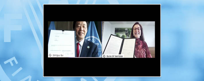 FAO and CropLife International strengthen commitment to promote agri-food systems transformation