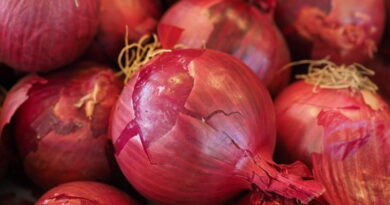 Stock limit on the onions imposed to curb price rise