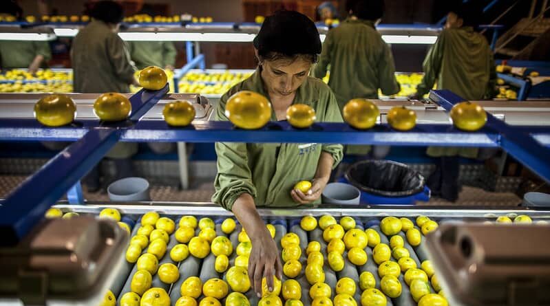 Food Processing Projects worth Rs 234.68 Crores approved under IMAC
