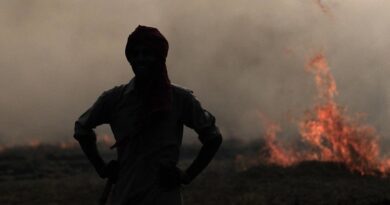 Punjab witnesses decline in straw burning area this year