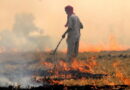 Gradual decline in stubble burning cases across Haryana