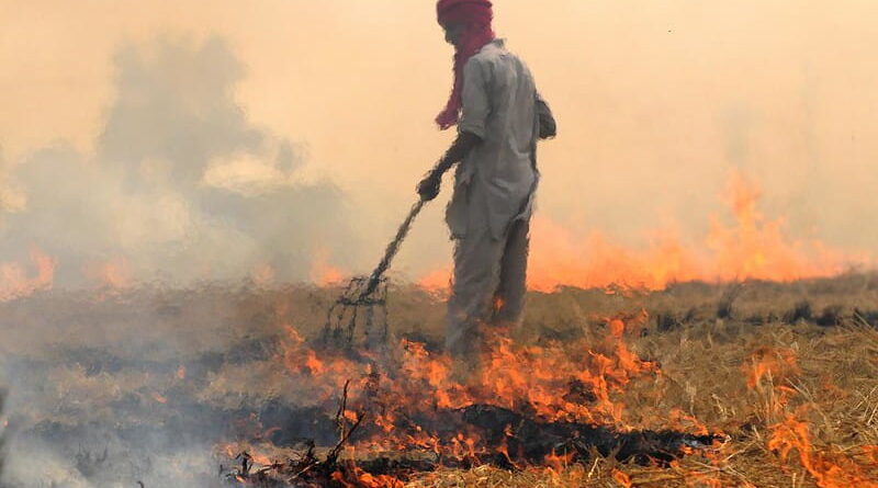 Gradual decline in stubble burning cases across Haryana