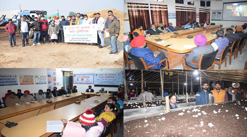 KVK, Sangrur Conducts Vocational Training Course On Mushroom Cultivation And Processing