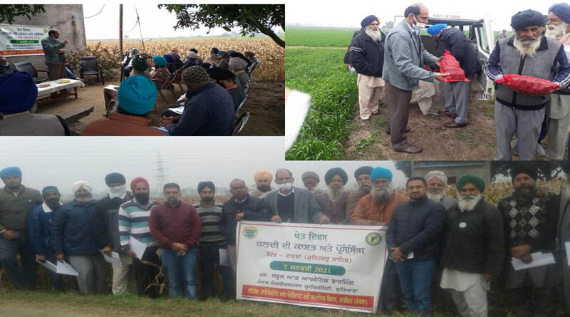 PAU'S School Of Organic Farming Organizes Field Day At Fatehgarh Sahib