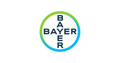 Scientist Discovers New Bee Species on Bayer Partner Farm in Brazil
