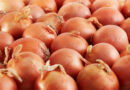 Early, positive start to New Zealand export onion season