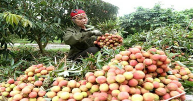 Vegetables and fruits exports reached 3.26 billion USD in 2020: Vietnam