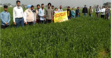 Farmers Get Training In Seed Production Of Field And Vegetable Crops