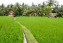 Mr. J.P Dalal Said That The State Government Is Continuously Working To Increase The Income Of Farmers
