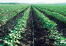 The Micro Irrigation Fund (MIF), with a corpus of Rs. 5,000 crores has been created under NABARD
