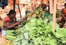 CABI shares expertise on strengthening and diversifying food systems at all-Africa vegetable summit