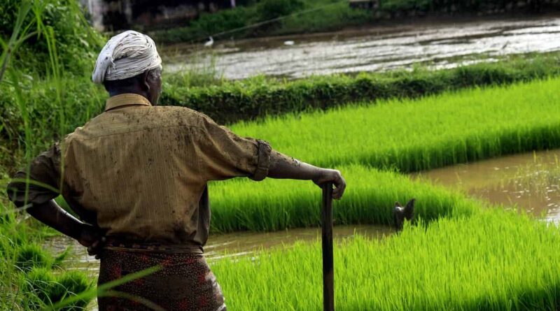 Less than 4% Indian farmers have adopted sustainable agricultural practices: CEEW