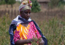CDC Group commits $100 million to ETG, supporting the lives of farmers across Africa and Asia