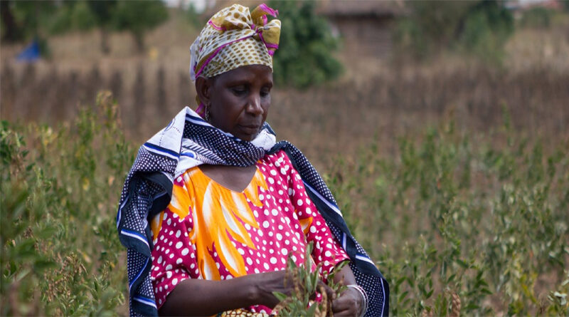 CDC Group commits $100 million to ETG, supporting the lives of farmers across Africa and Asia