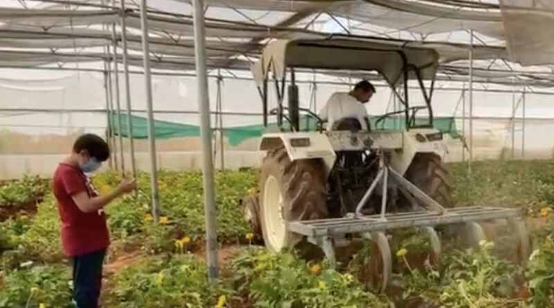 Situations worsens for floriculture farmers under lockdown