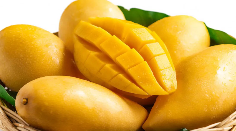 Indian mango promotion programme begins in Bahrain
