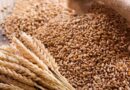 Haryana Government has procured total 84 lakh tonnes of wheat