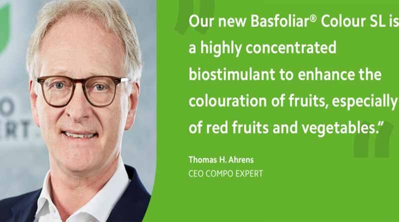 Basfoliar® Colour SL – Biostimulant for fast and homogenous fruit colouration