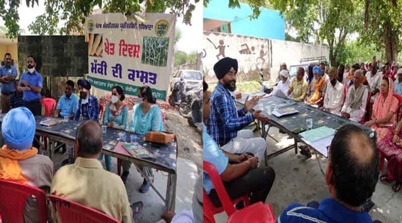 Field day on “successful cultivation of maize crop” organised by FASC, Gangian, Hoshiarpur