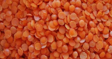 Centre reduces import duty on masur dal to zero, halves Agriculture Infrastructure Development Cess on lentil